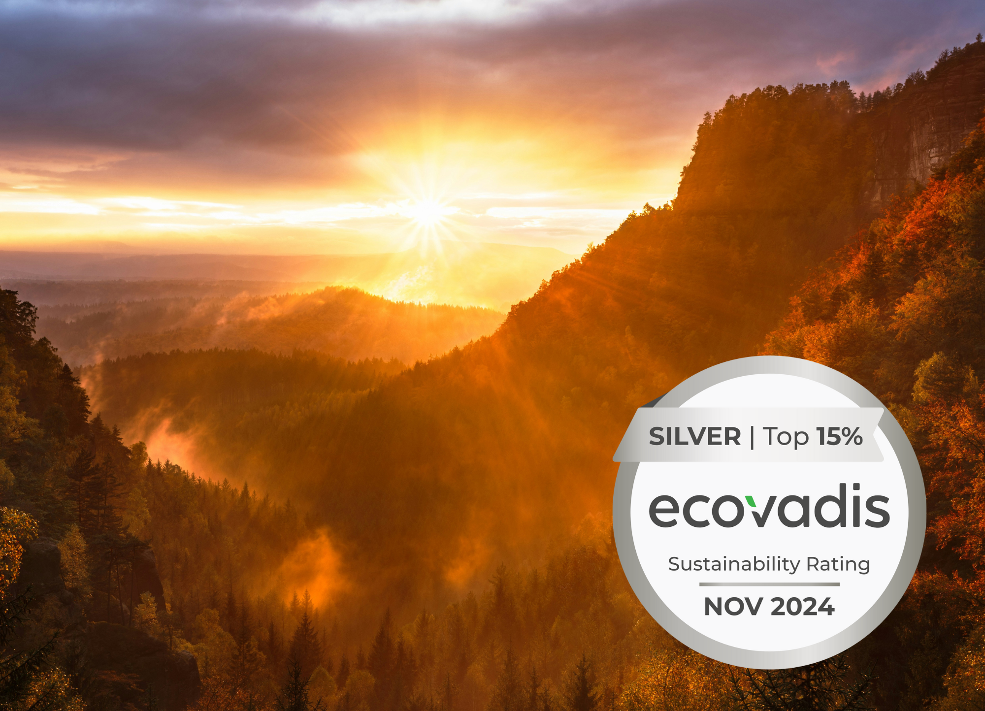 ecovadis medal silver