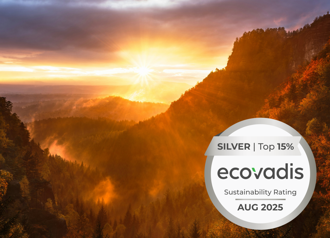 badge ecovadis silver mevis 2025